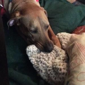 Meet your Posher, Mary elizabeth